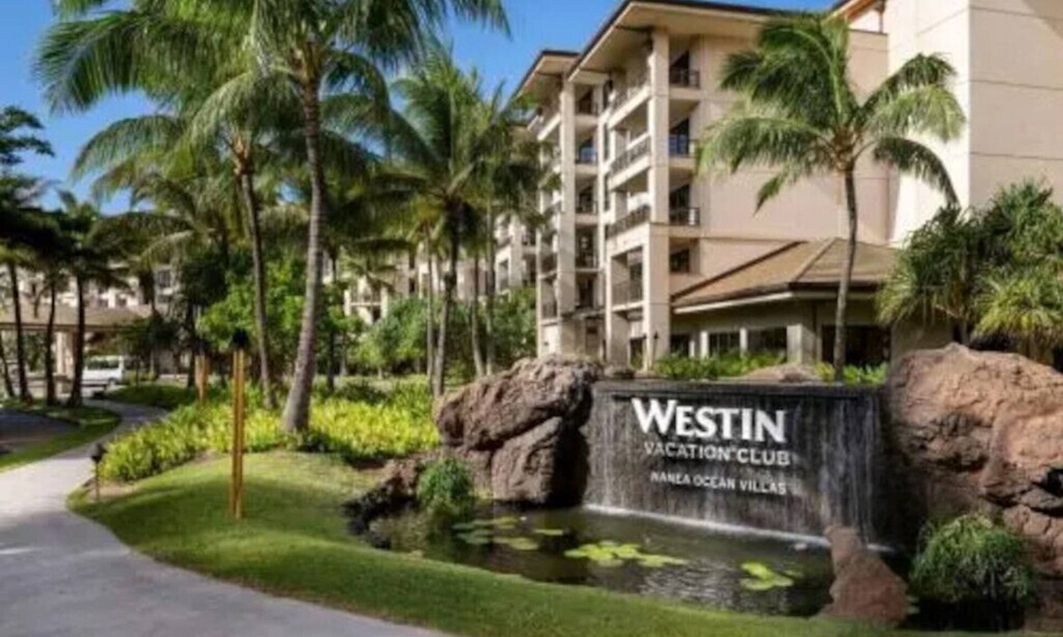 Kaanapali Villa | Beach and Water Activities: Scuba Diving,Snorkling,and Sand-Up Paddle Boarding.