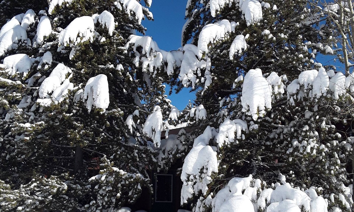 West Yellowstone House | The Firehole Cabin 418, 6 Bedrooms 4 Baths Sleeps up to 18 Yellowstone Entrance 2 Minutes Away