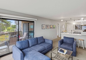 Ocean Front Condo Shorebirds 55