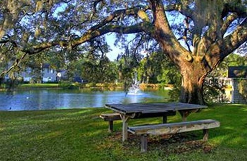 Demere Park Condo | 2bd/2ba/Close to Village, Parks, Pools - Reserve Now for fall & winter getaways!