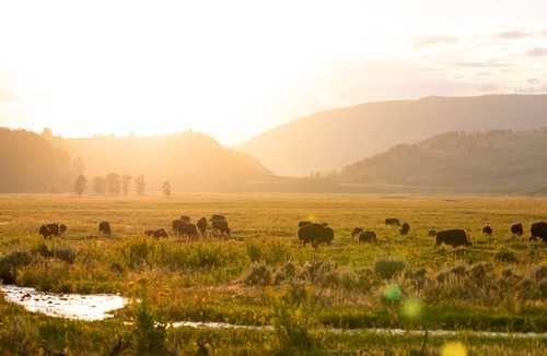 Cooke City-Silver Gate Cabin | Comfortable Cabin next to Yellowstone National Park