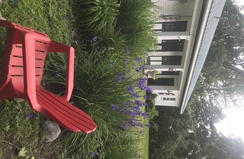Bennington House | Cozy 1 Bedroom farm stay cottage