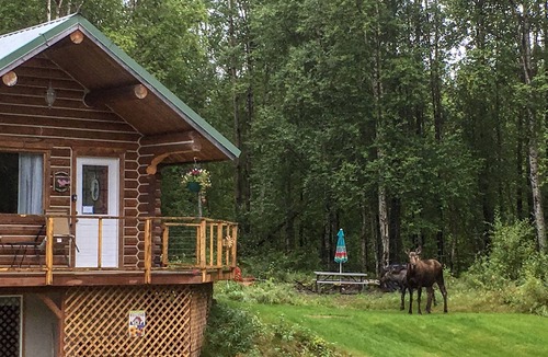 Susitna North Cabin | Cozy Log Home -King bed, full kitchen, bathroom with clawfoot tub, outdoor area