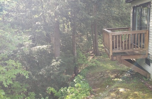 Manchester Center House | Dorset Summer Festival House - Secluded Location 15 minutes to Festival