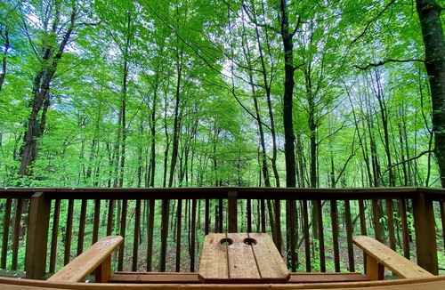 South Bloomingville Cabin | Elk - Hosted by The Chalets