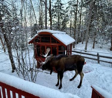 Northeast Anchorage House | Hot Tub Stunning Mountain Views 2 kitchens 4 bedroom 2 bathroom