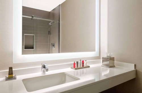 Lenox Hotel | King | Wyndham Atlanta Buckhead Hotel & Conference Center | Pet Friendly