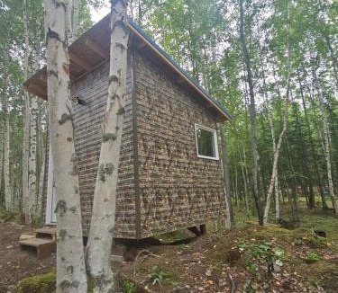 Houston House | Ma-Su Thunder Cabin #1