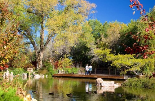 Albuquerque House | New Mexico Escape! 2 Family-Friendly Units, On-site Pool! Close to ABQ BioPark!