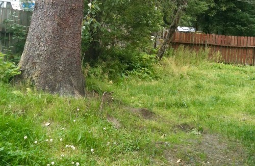 Mendenhaven House | Nugget Place-Includes three separate two bedroom units near Mendenhall Glacier-DISCOUNTS ON TOURS!