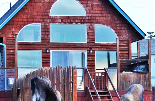 Homer Cottage | Ocean View Kachemak Cottage on Bishops Beach in the heart of town close to dining and shopping