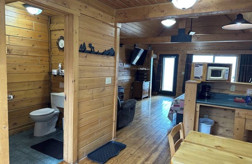 Homer Cabin | Red Salmon Cabin - Cozy retreat with bay views, a shared hot tub, and fire pit!