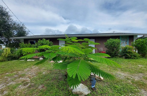Tropic Apartment | Rustic private one bedroom @ Eau Gallie Downtown, spacious in size of 650 sqft.