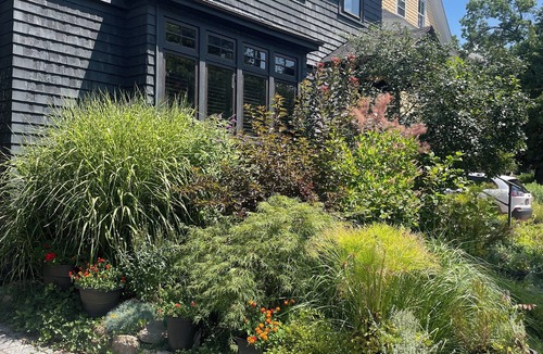 West Cambridge Apartment | Spacious 2 bedroom home in Harvard Square with permitted free on street parking