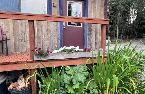Homer Cottage | SPRUCE TIDE HOUSE 1-bedroom cottage in Homer, perfect for a relaxing getaway