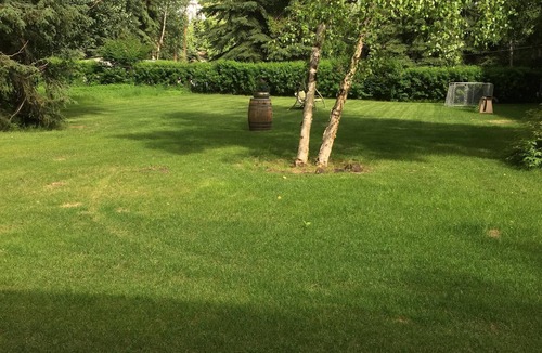 College Apartment | Two bedroom daylight basement apartment on 1 1/2 acres near University