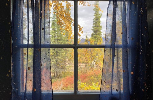 McKinley Park Cabin | ○ ☽ ☆ Denali Moonrise Cabin - Stunning Mountain Views