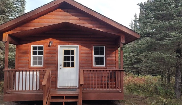 Alaska Summers Lodge Cabin 1-Near Mouth of Kasilof River