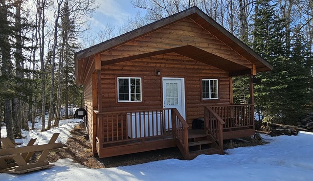 Alaska Summers Lodge Cabin 5-Near Mouth of Kasilof River