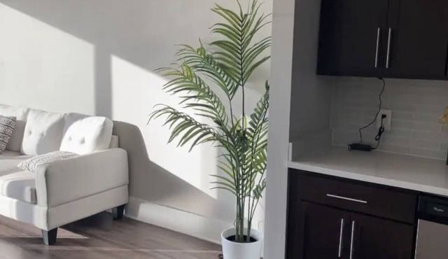 Buckhead Atlanta Luxury Apartment - HUGE SIZE