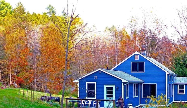 Charming Cabin Getaway with a Wood-Burning Stove in Chesterfield, Massachusetts