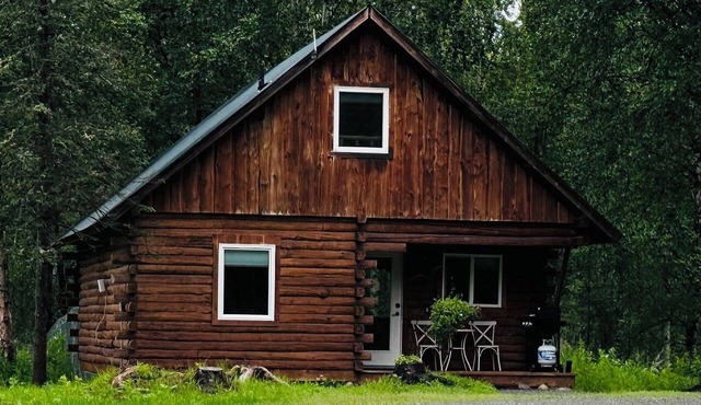 Cozy 2-bedroom pet friendly cabin in beautiful Palmer, perfect for your getaway
