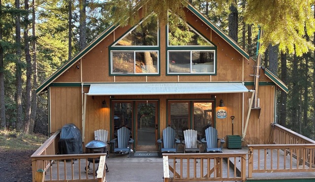 Cozy Evergreen Cabin
