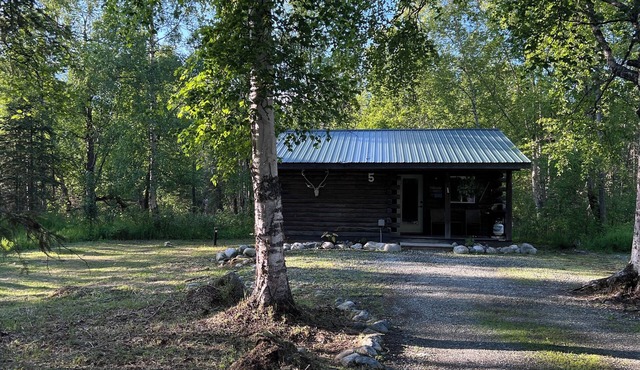 Cozy, pet-friendly, 2-bedroom cabin in beautiful Palmer, Alaska