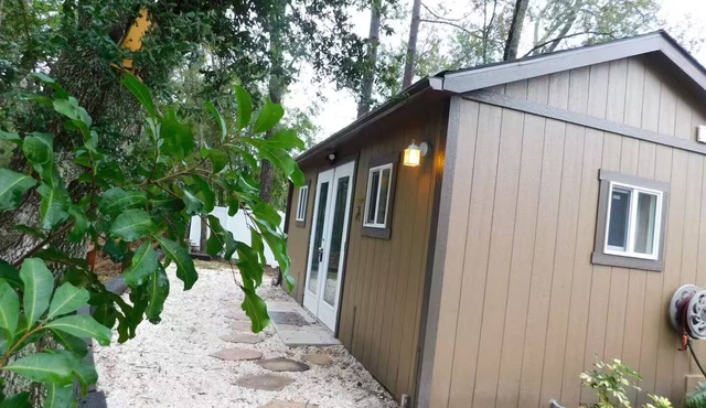 Creekfront Tiny Home Clearwater/Safety Harbor