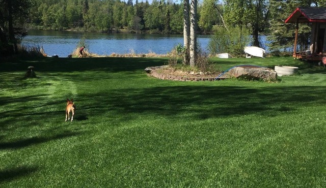 Dragonfly on the Lake Alaska 1, You won’t forget your stay! Sauna, Fishing, more