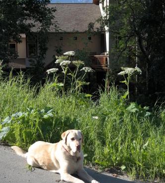 Eagle Peak Guesthouse