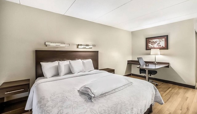 Easy Highway Access! Pet-Friendly Property, Short Drive to Medford Square!