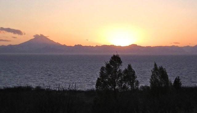 Fireweed Cabin on the Cook Inlet, Basecamp for all your Alaskan adventures!