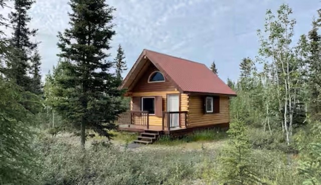 Fireweed Mountain Lodge - Erie Cabin