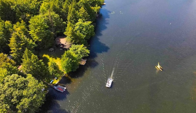Forest Hollow | Waterfront Kayaks Wood Stove