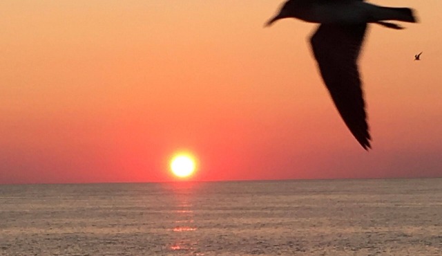 It's time for that Beach Getaway!
