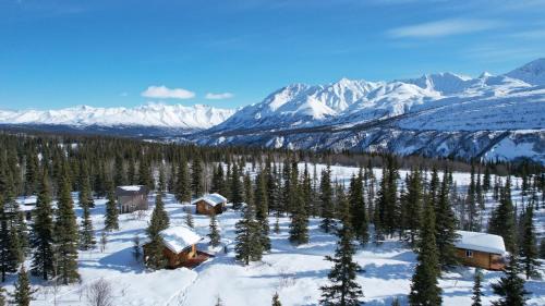 Little Bear Getaway Cabins