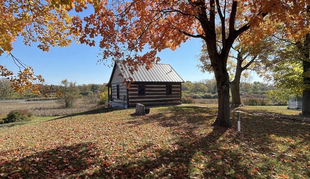 Log Cabin overlooking wetland reserve