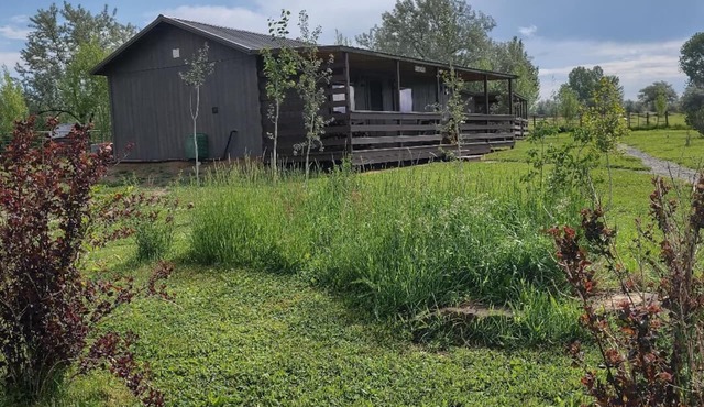 Lone Wolf Cabin at Wolf Haven Cabins