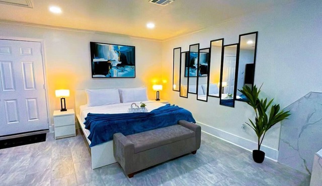 Luxury Studio w/Jacuzzi near IAH