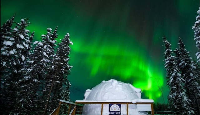 Mulchatna Igloo: Reindeer Walking Path and Aurora