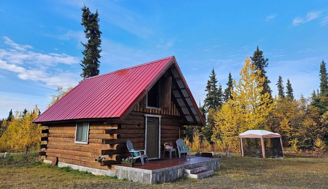National Park Stay: Comfortable cabin in Alaska's wilds, lakes, hikes. Pets OK!