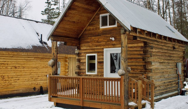 Petite Cabin With Ladder Loft