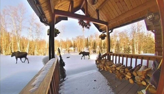 Private lakefront cabin with WiFi in charming Talkeetna, Alaska