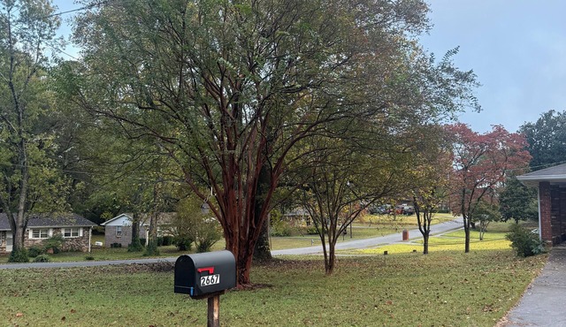 Quiet Rustic Scape, Large Yard, Sleep 8 Near ATL