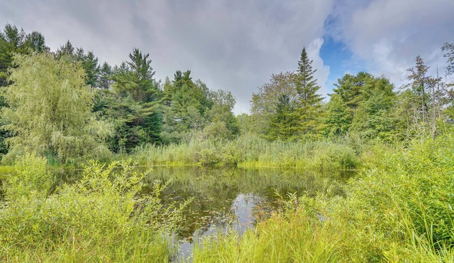 Serene Upstate New York Vacation Rental w/ Pond!