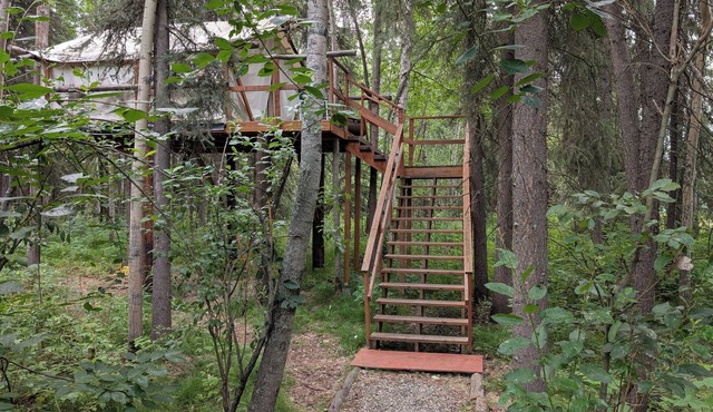 Sleep in the trees! A treehouse escape just 5 minutes from airport and downtown!