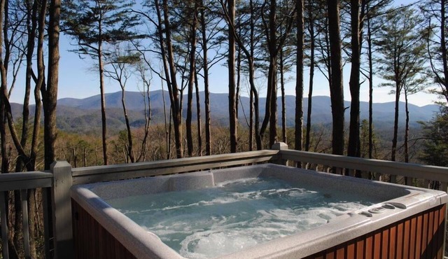 Summer Sale-5 Star-Incredible Views-Hot Tub-Love Pups-15 min to Blue Ridge-Clean