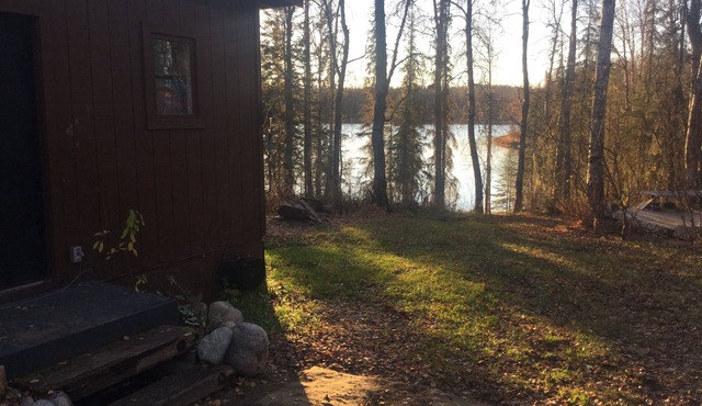 Taiga Tooth, B&B. Kathy’s Kabin, on Christiansen Lake, Talkeetna, Alaska