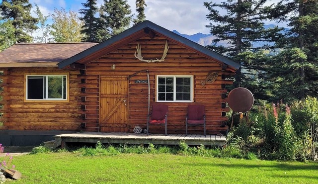 The Polaris is a cozy delight with 360 degree mountain views. Pet Friendly!